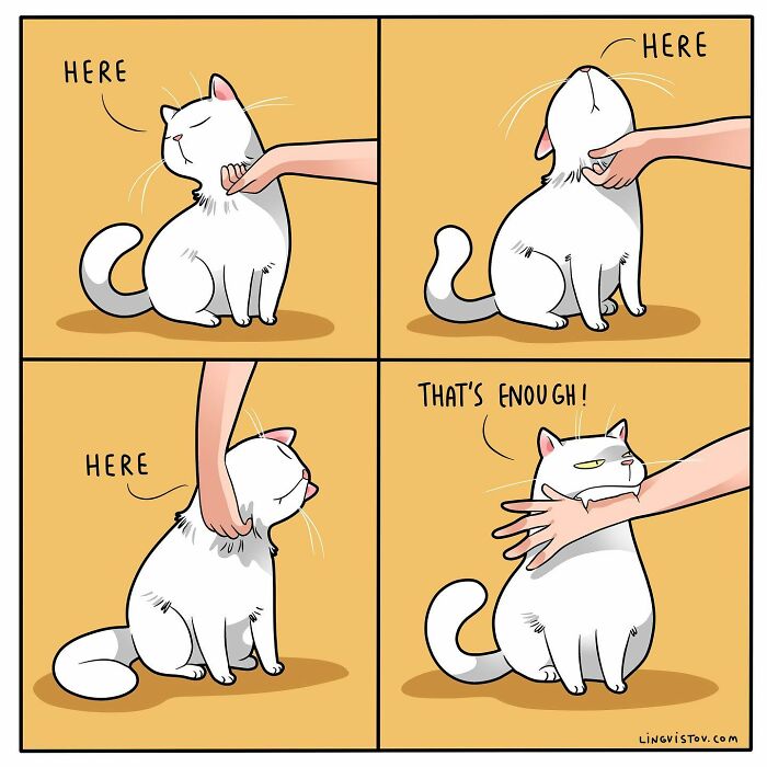 Comic panels showing a white cat being petted in different spots, capturing relatable moments for cat owners.