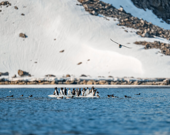 I&rsquo;ve Traveled The World For Years, But The Arctic Left Me Speechless