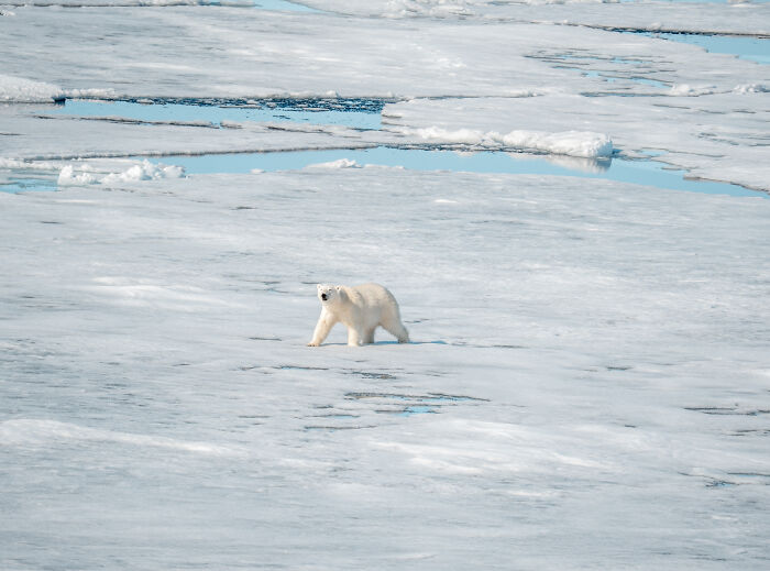I&rsquo;ve Traveled The World For Years, But The Arctic Left Me Speechless