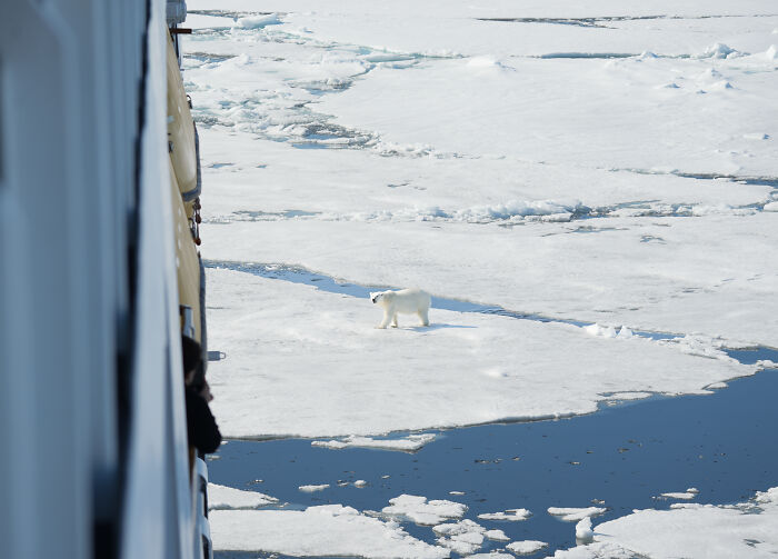 I&rsquo;ve Traveled The World For Years, But The Arctic Left Me Speechless