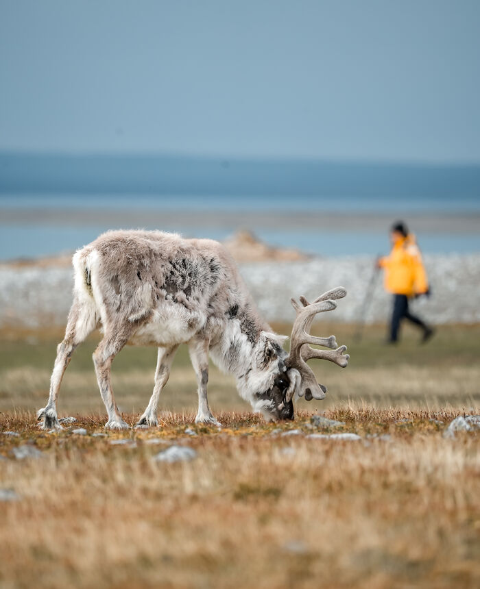 I&rsquo;ve Traveled The World For Years, But The Arctic Left Me Speechless