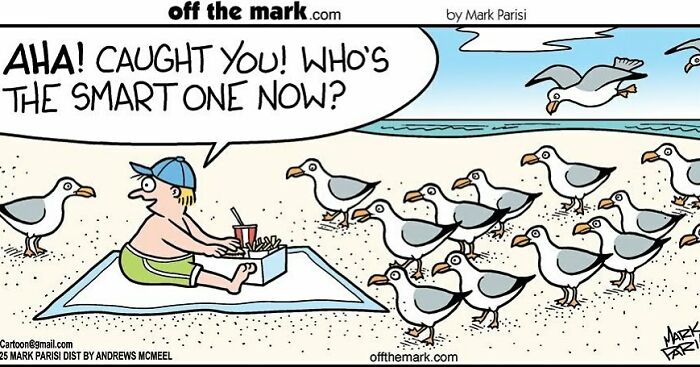 Cartoon by award-winning artist Mark showing a boy on the beach surrounded by seagulls in a humorous comic scene.