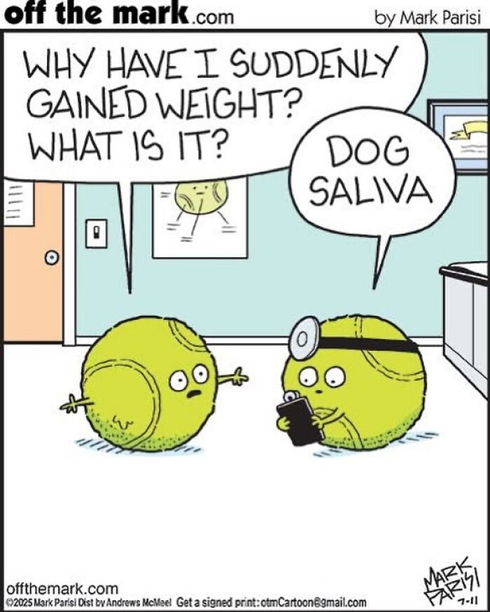 Cartoonist Mark’s hilarious dog comics show tennis balls as characters discussing sudden weight gain from dog saliva.