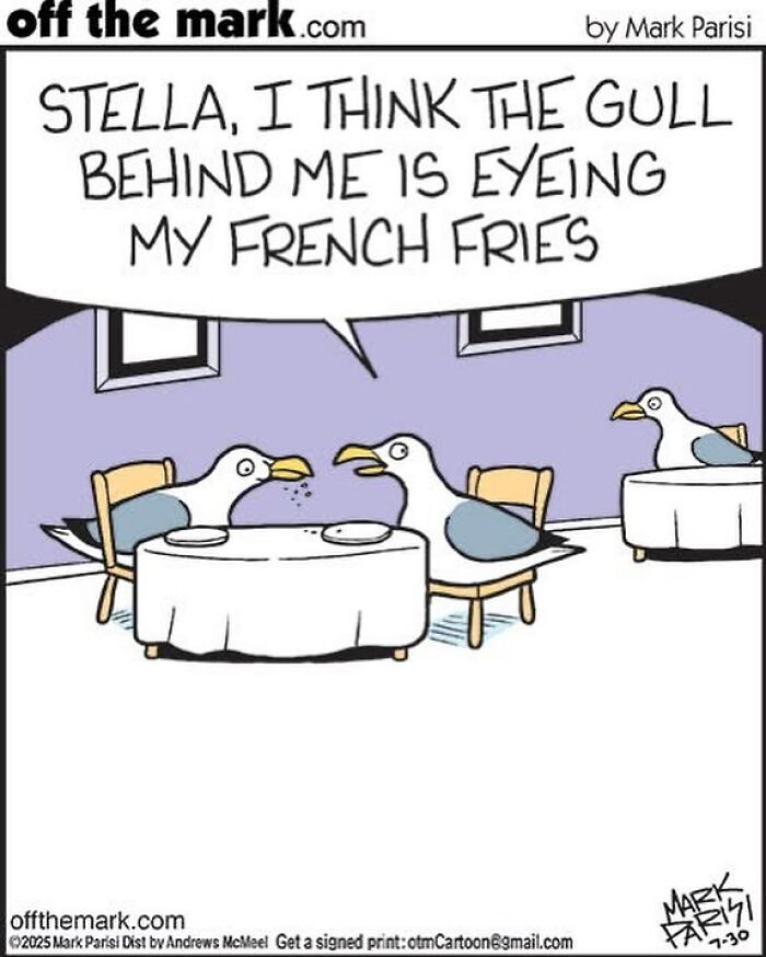 Cartoon by award-winning Mark showing seagulls in a restaurant, with one worried about the other eating his fries.