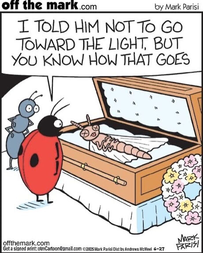 Cartoon by award-winning cartoonist Mark showing insects at a coffin with a humorous twist on light.