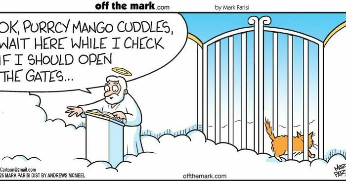 Cartoonist Mark Parisi’s hilarious dog comic shows a dog waiting at gates while a heavenly figure checks if they should open them.