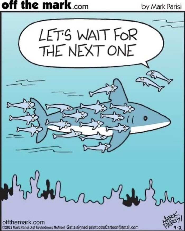 Cartoon by award-winning artist showing a group of fish forming a shark, with humorous text about waiting for the next one.