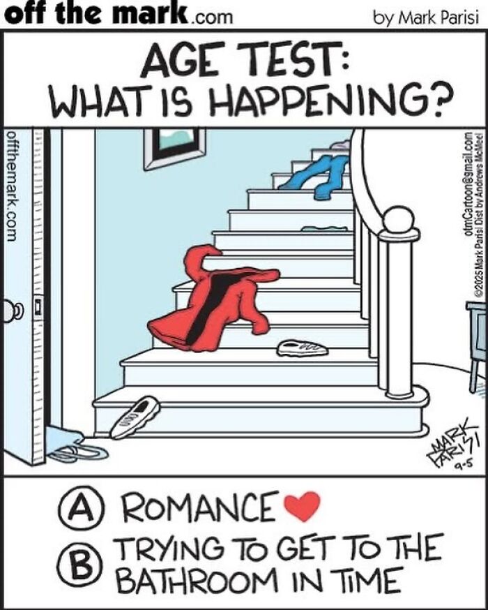 Cartoon by award-winning cartoonist Mark showing a humorous dog comic with clothes scattered on stairs and two choices.