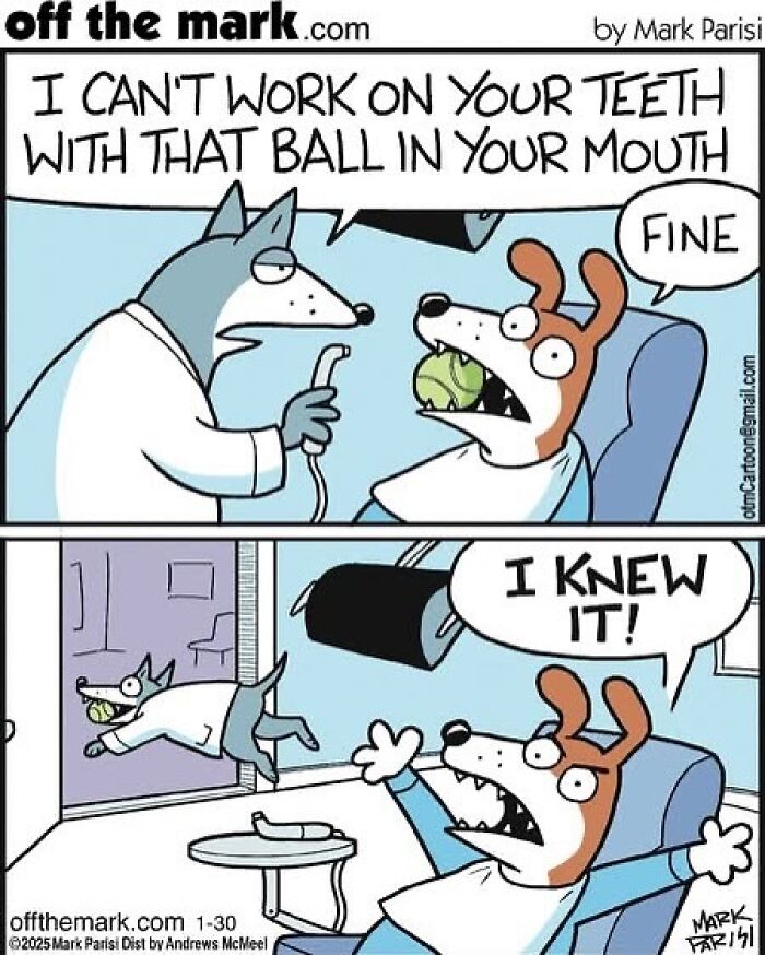 Cartoonist Mark’s hilarious dog comic shows a dog at the dentist with a ball in its mouth causing chaos.