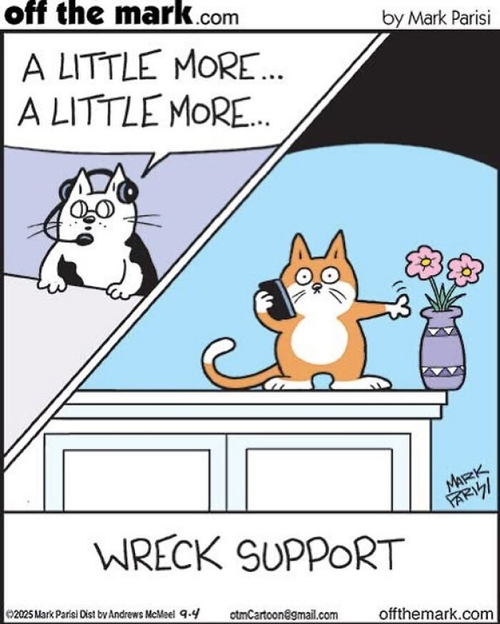 Cartoon by award-winning cartoonist Mark showing a cat receiving hilarious dog comics support over the phone.