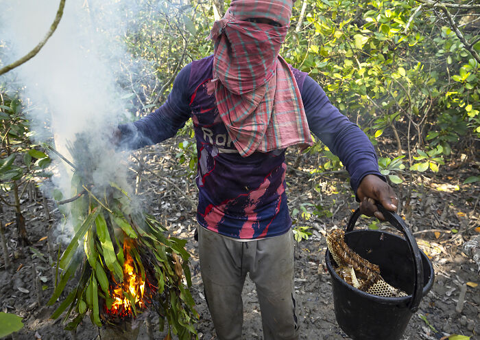 I Documented The Dangerous Work Of Honey Collectors In Bangladesh&rsquo;s Mangrove Forests