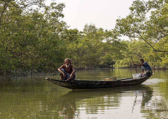 I Documented The Dangerous Work Of Honey Collectors In Bangladesh&rsquo;s Mangrove Forests