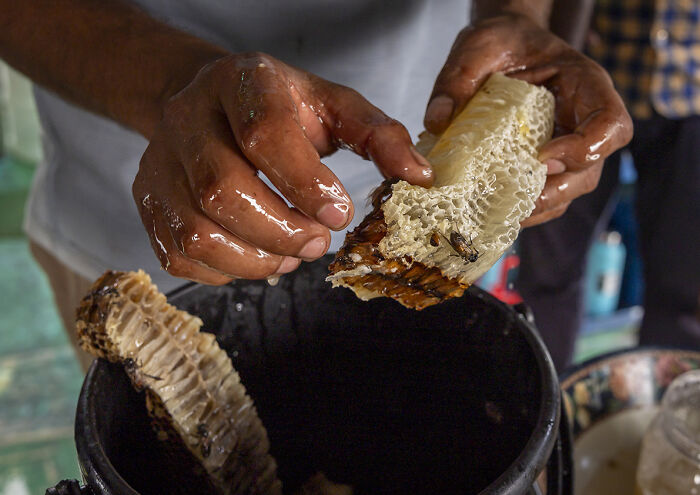 I Documented The Dangerous Work Of Honey Collectors In Bangladesh&rsquo;s Mangrove Forests