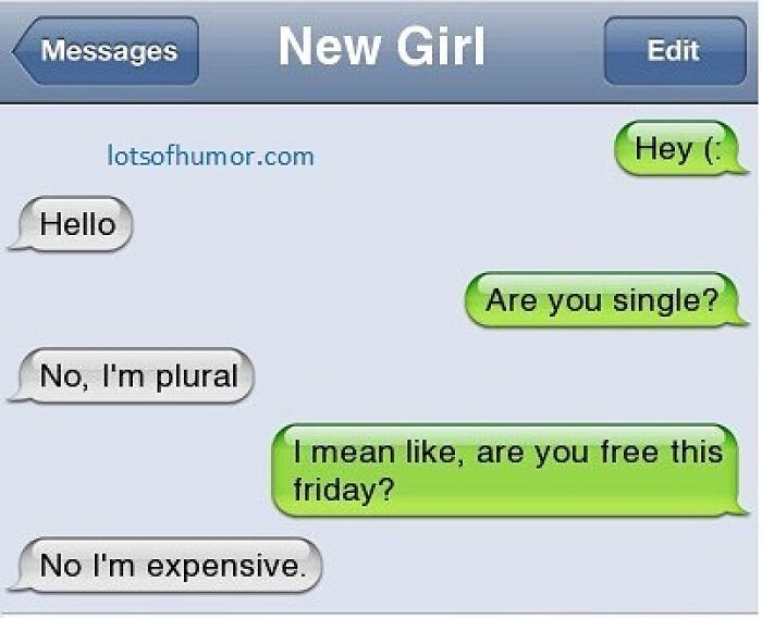 Text conversation humor with playful replies about being plural and expensive in a funny text that might make you laugh.