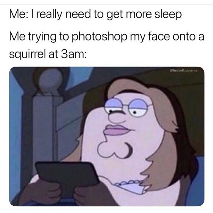 Person photoshopping their face onto a cartoon squirrel at 3am, illustrating funny insomnia memes about sleepless nights.