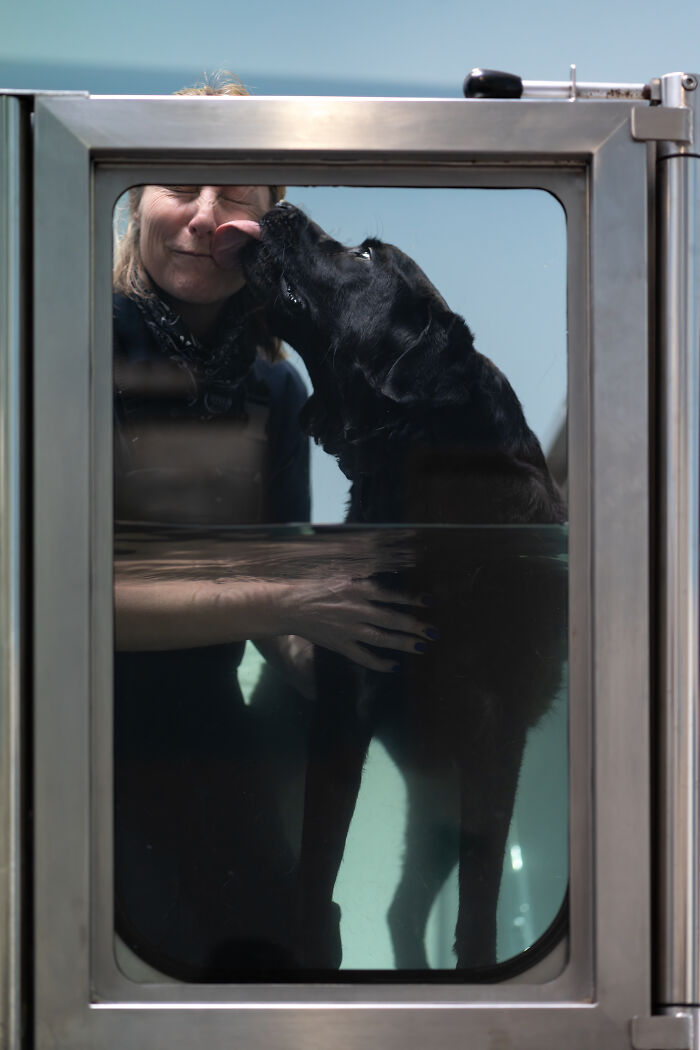 Woman receiving a loving lick from a black dog in a water therapy tank in a creative pet photo winning pet photography awards.