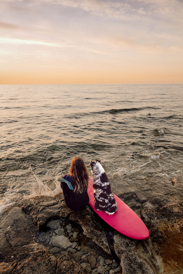 Girl and dog sitting on rocks by the sea with a surfboard, a creative pet photo showcasing companionship at sunset.