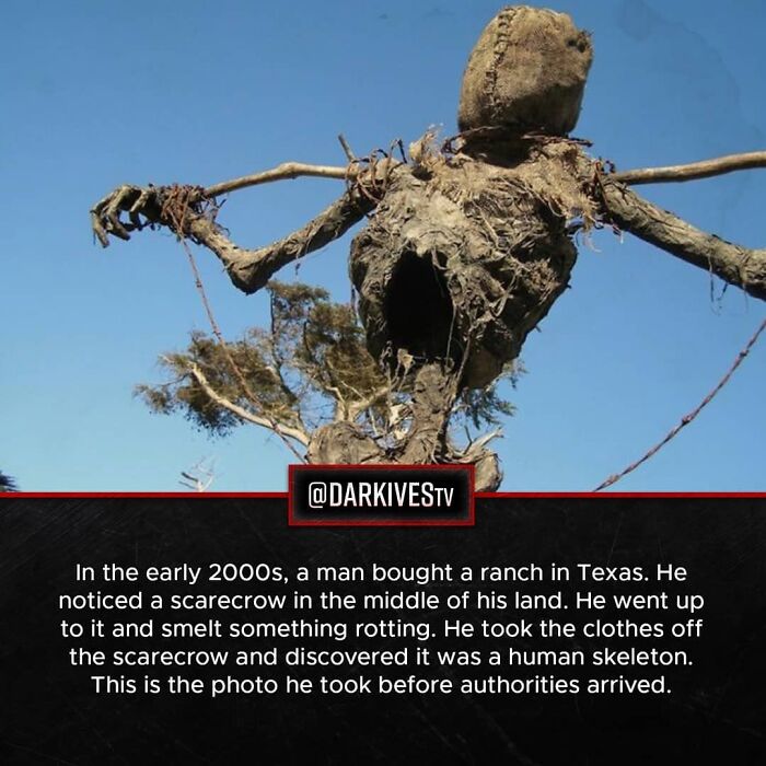 Terrifying scarecrow made from a human skeleton found on a Texas ranch reveals dark and strange facts about the world.