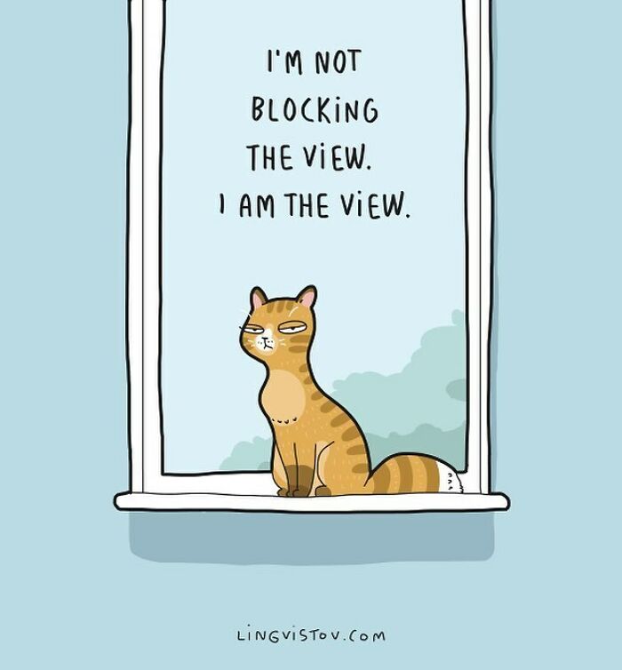 Cartoon cat sitting on a windowsill with text about blocking the view, funny comic for cat owners.