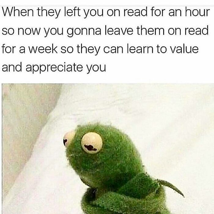 Funny dating meme showing a sad Kermit the Frog with text about being left on read and relationship appreciation.