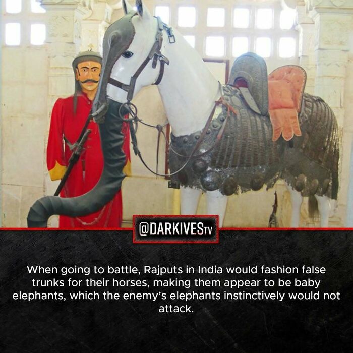 Mannequin of a Rajput warrior with a horse wearing a false elephant trunk, showcasing strange and dark world facts.