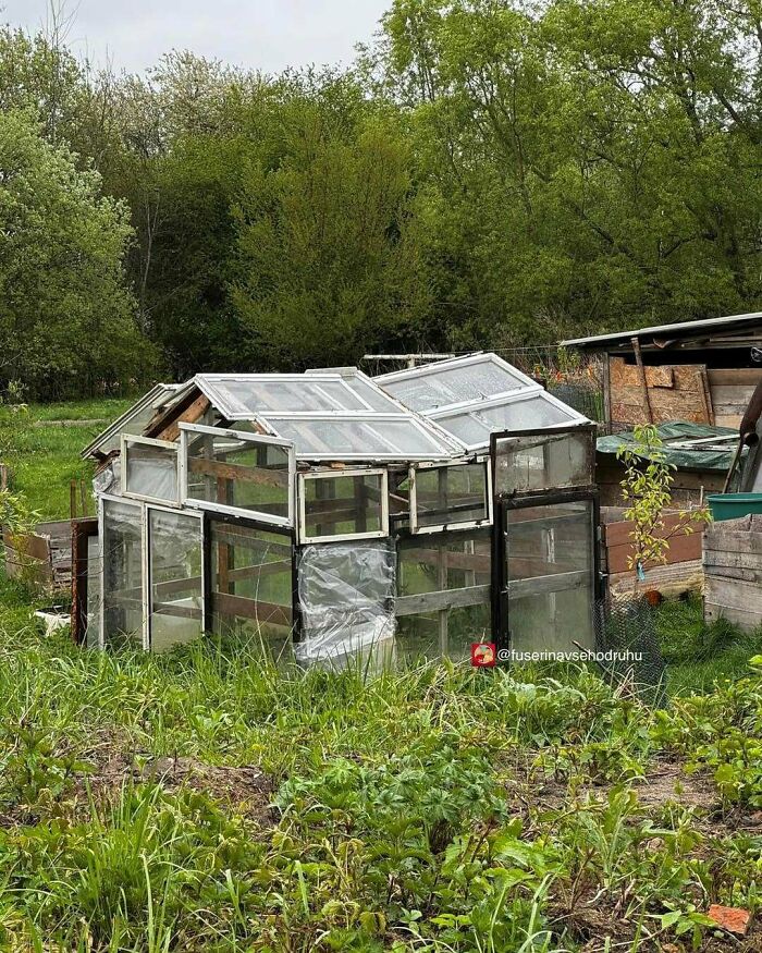Improvised construction made from old windows and glass panels in a grassy garden area surrounded by trees.