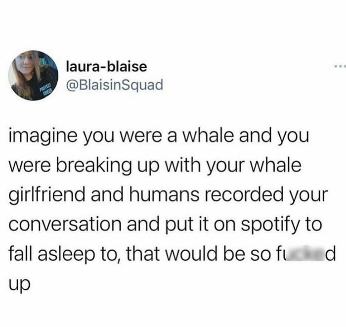 Relationship meme about whales breaking up with conversations recorded on Spotify, highlighting wholesome relationship humor.