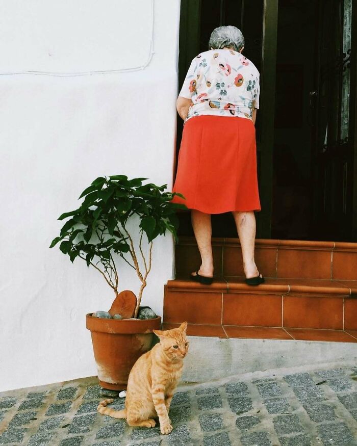 Stylish grandparent wearing a red skirt and floral top standing on steps with an orange cat nearby outdoors.