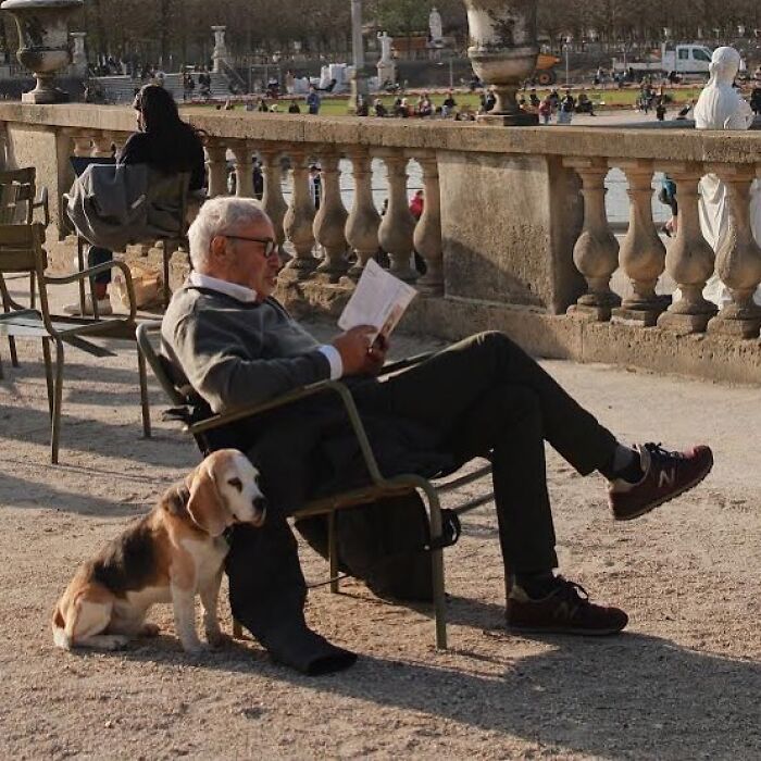 Elderly man in stylish casual outfit reading a book on a chair outdoors with a dog by his side, showcasing cool grandparents.