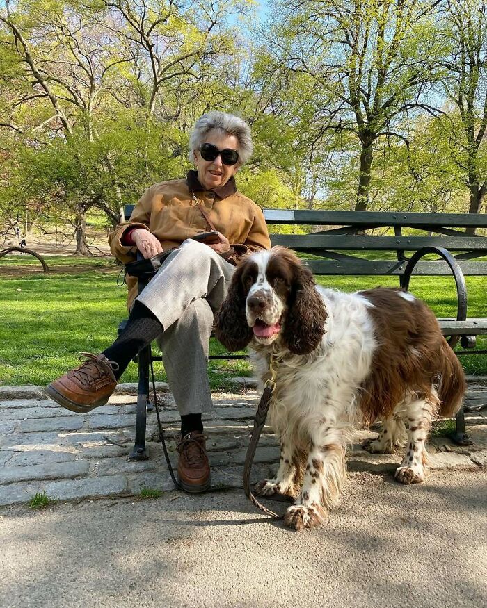 Stylish grandparent wearing sunglasses and brown jacket sitting on a park bench with a brown and white dog.