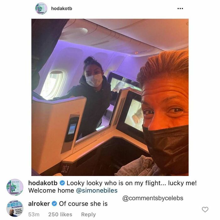 Celebrity selfie on a plane with a masked fan, showcasing unexpected gems in the comments section.