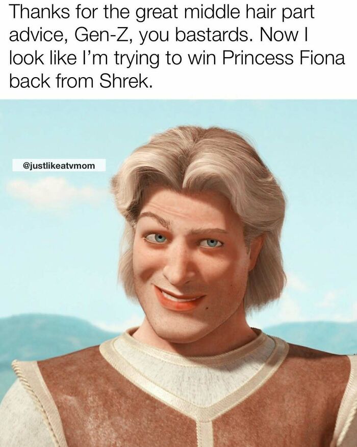 Parenting meme featuring a humorous caption about Gen-Z middle hair part advice with a Shrek character face.