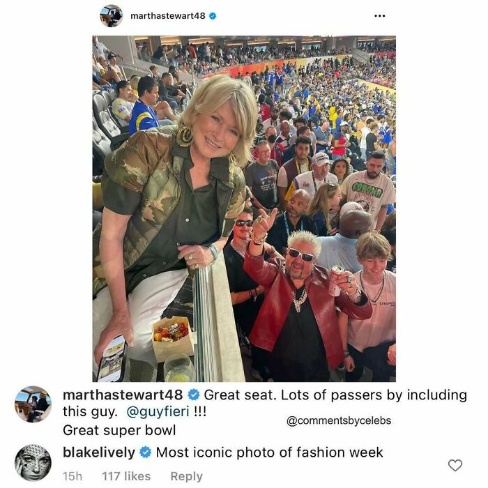 Martha Stewart and Guy Fieri at a crowded sports stadium, showcasing celebs dropping unexpected gems in comments.