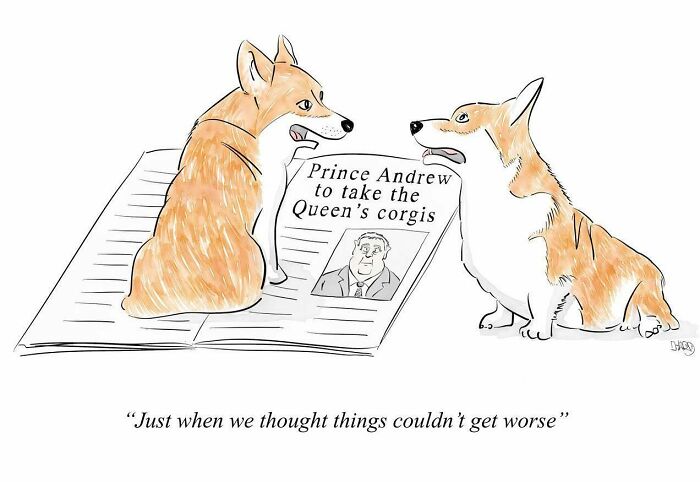 Two corgis reacting to a newspaper headline in a funny one-panel comic about life's absurdities.
