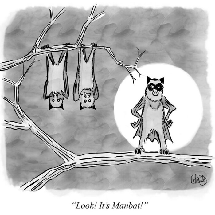 Black and white funny one-panel comic by Hard Toons showing a raccoon dressed as a bat standing on a tree branch at night.
