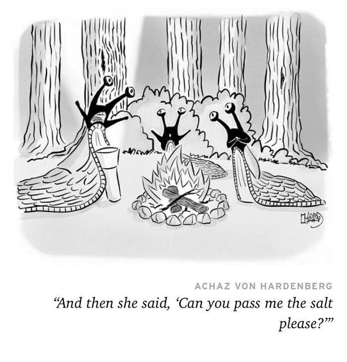 Three snails sitting around a campfire in a forest, depicted in a funny one-panel comic style.