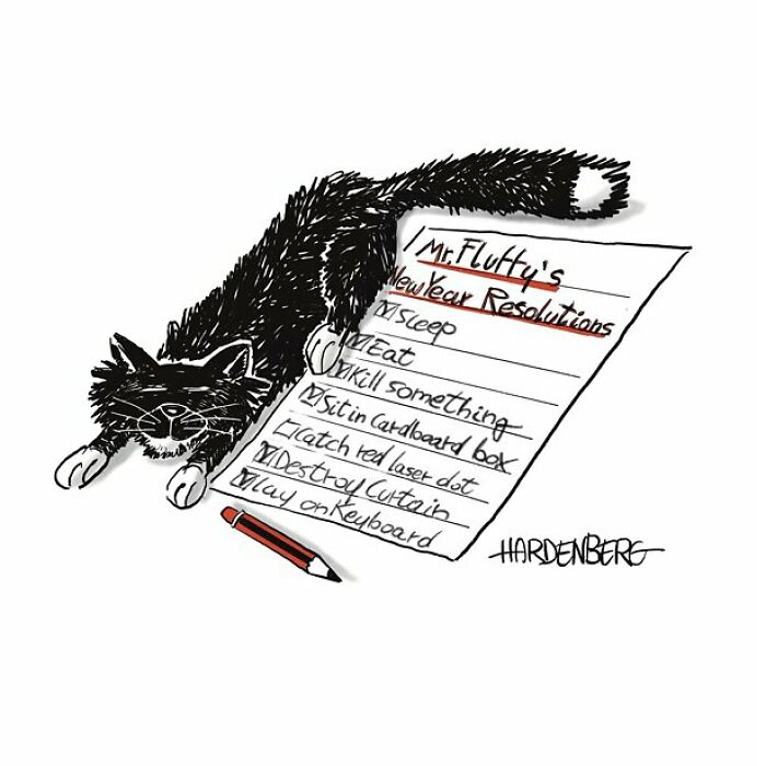 Black cat with a checklist of funny New Year’s resolutions in a one-panel comic by Hard Toons capturing life’s absurdities.