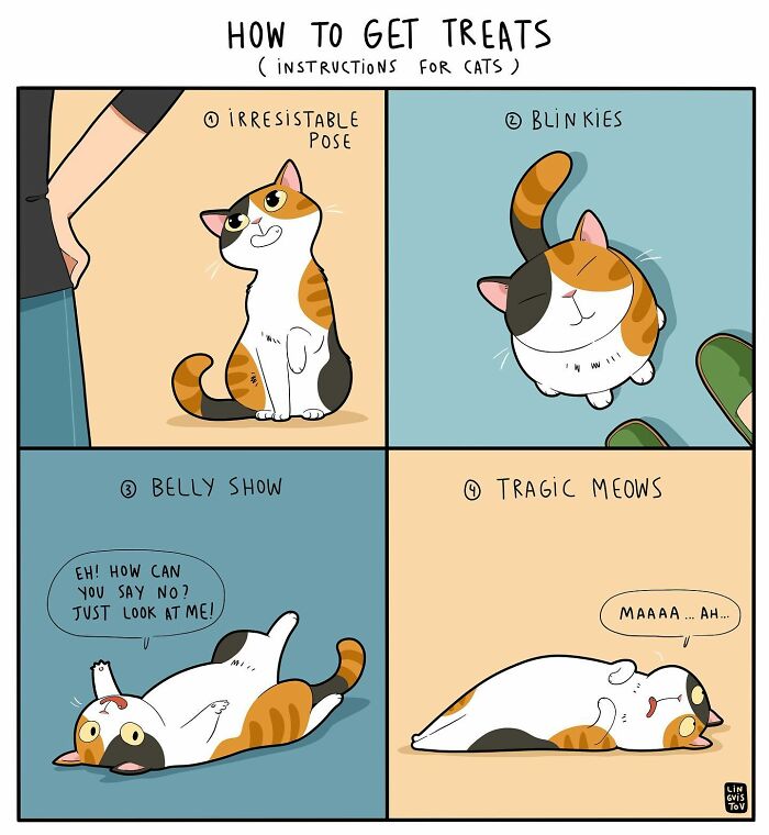 Comic illustration showing cat owner humor with cats using poses and meows to get treats, relatable for cat owners and fans.