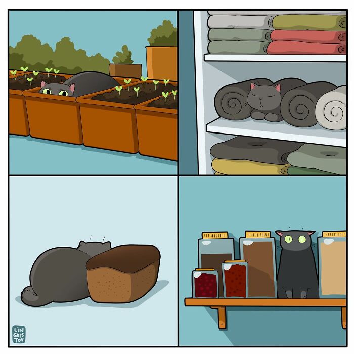 Black cat camouflages with plants, towels, bread, and jars in a fun comic for cat owners to relate to.