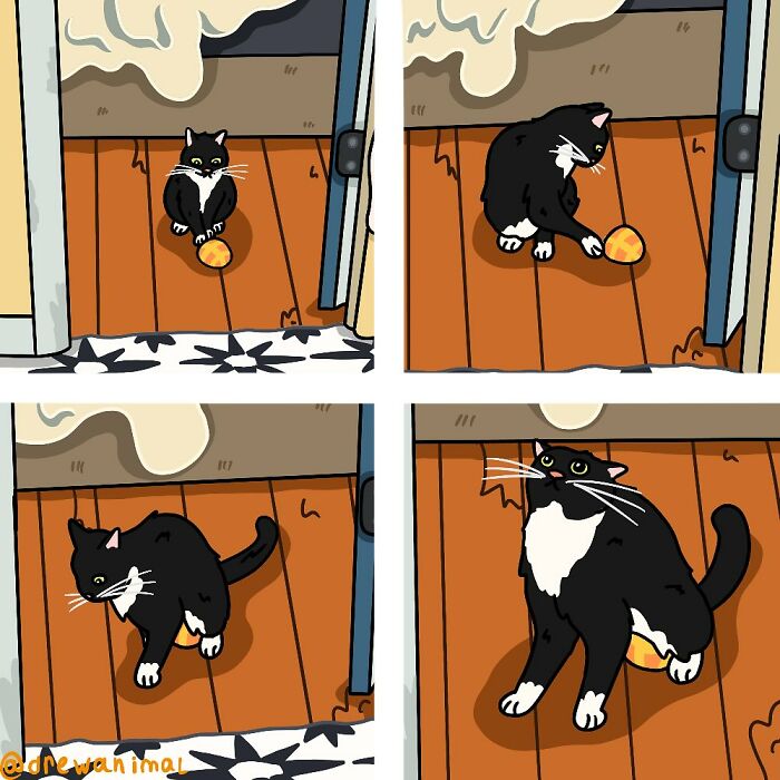 Comic-style funny art of a black and white cat playing with a ball on a wooden floor in viral cat moments artwork.