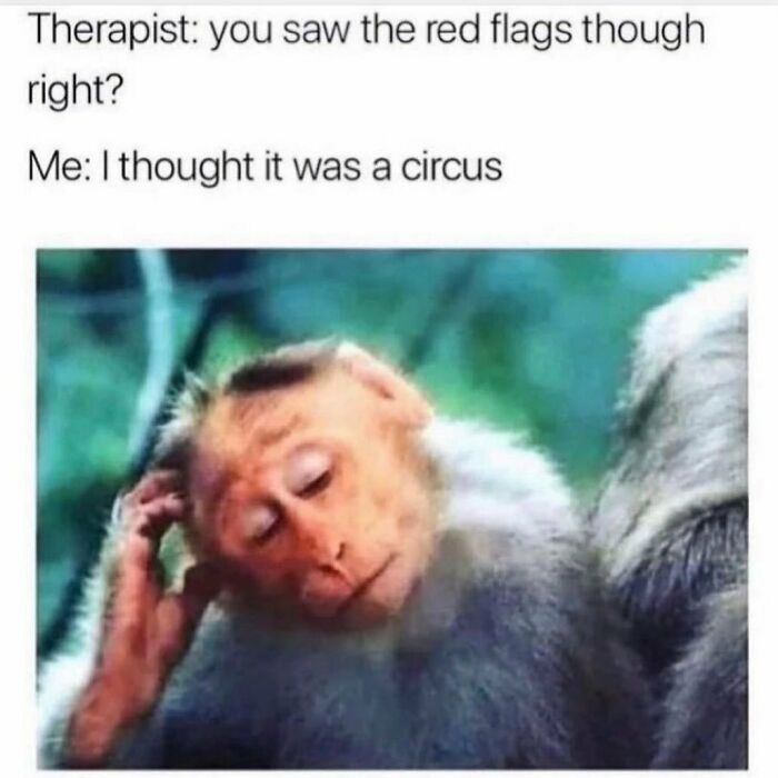 Monkey with a confused expression and text about mistaking red flags for a circus in funny dating memes.