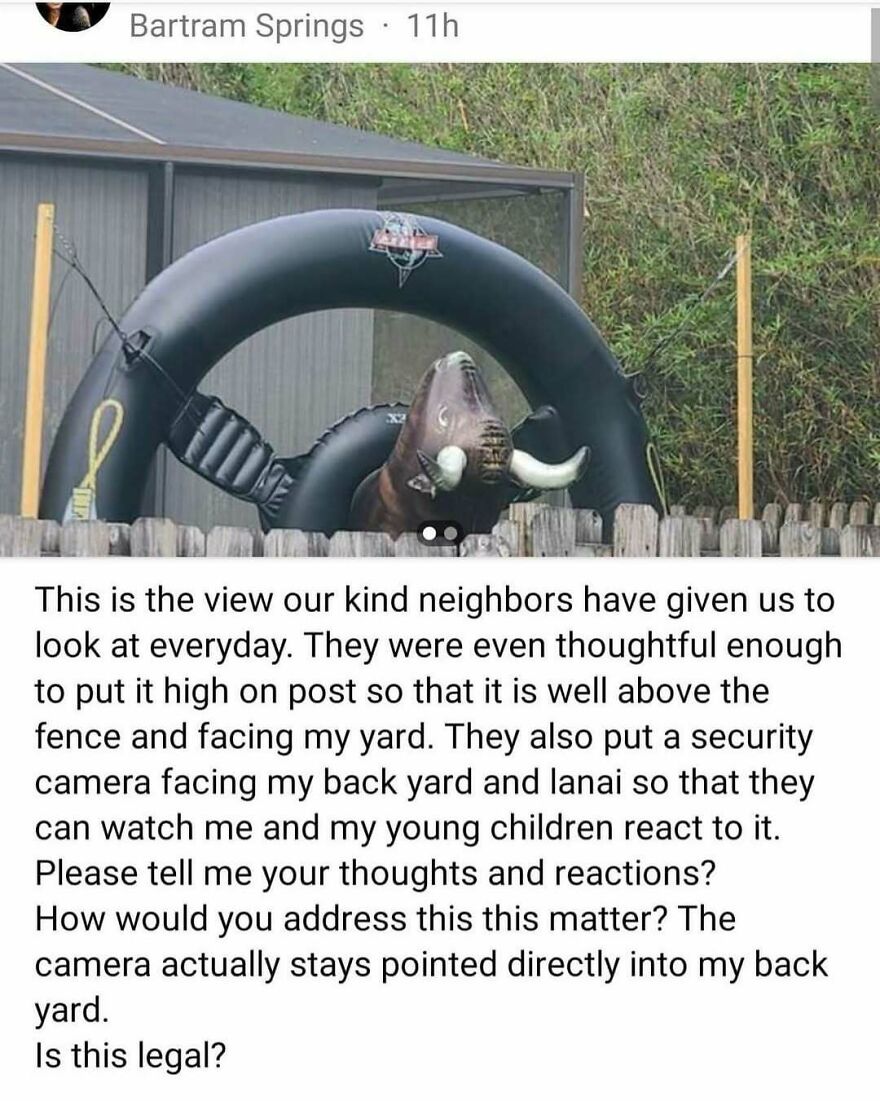 Inflatable bull on fence with privacy concerns highlighting challenges of living in the middle of nowhere with no neighbors.