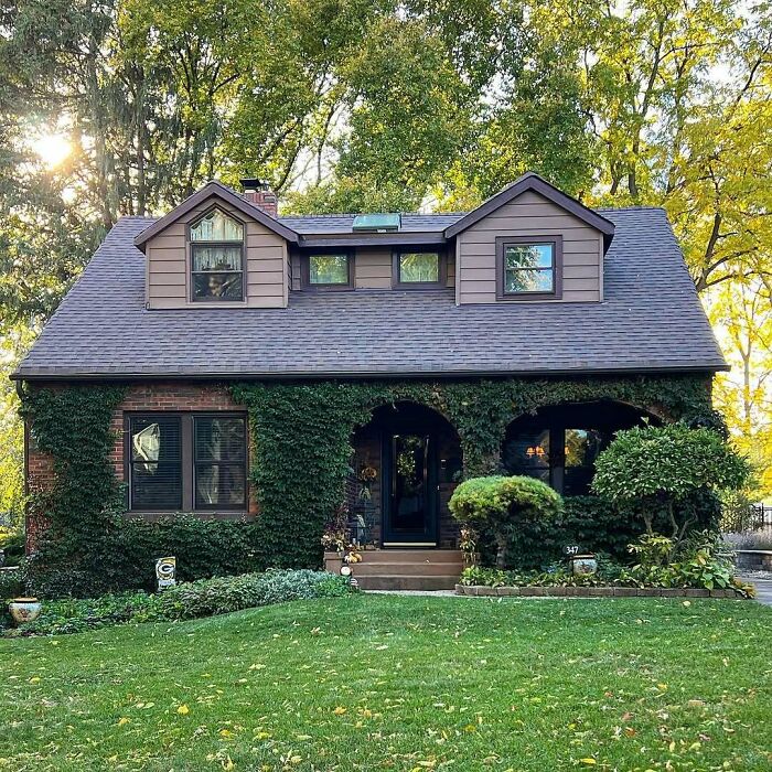 Charming old homes covered in ivy with a cozy porch and lush green lawn in a peaceful neighborhood setting.