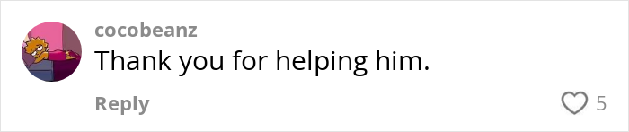 Comment on social media post expressing gratitude for support in homeless Nickelodeon actor fundraiser and street-side makeover.