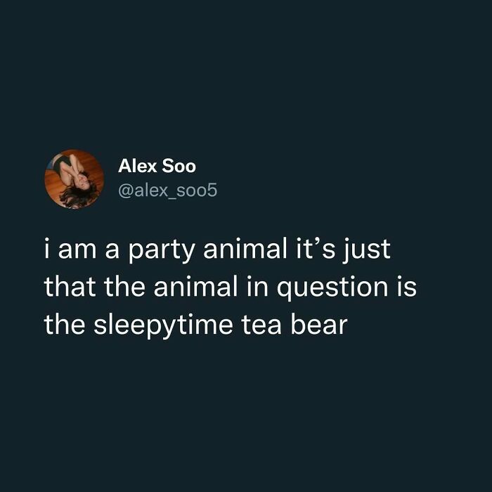 Tweet by Alex Soo humorously calling themselves a party animal, but actually a sleepytime tea bear relatable post.