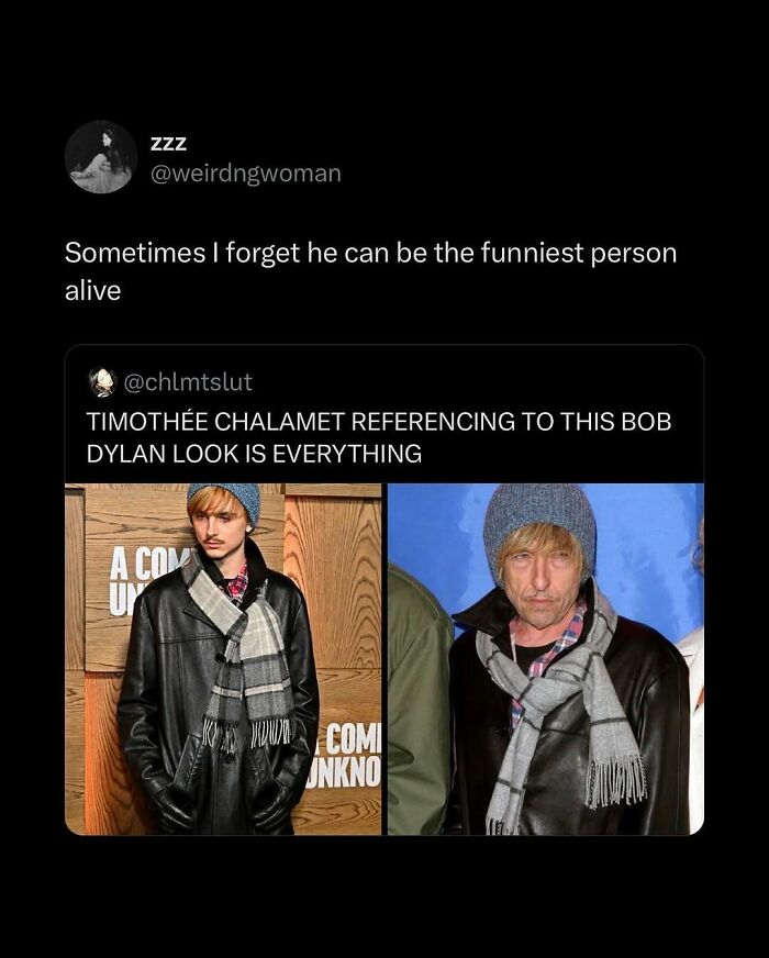 Tweet showing a funny and relatable meme about navigating the world featuring Timothée Chalamet's Bob Dylan look comparison.