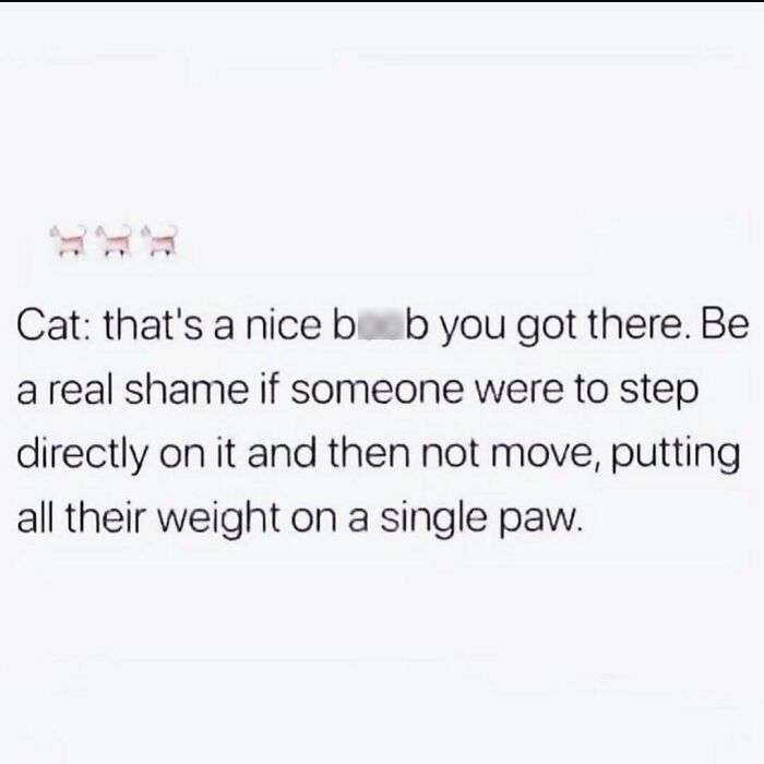 Text meme about navigating the world as just a girl, humorously describing a cat stepping on a sensitive spot.