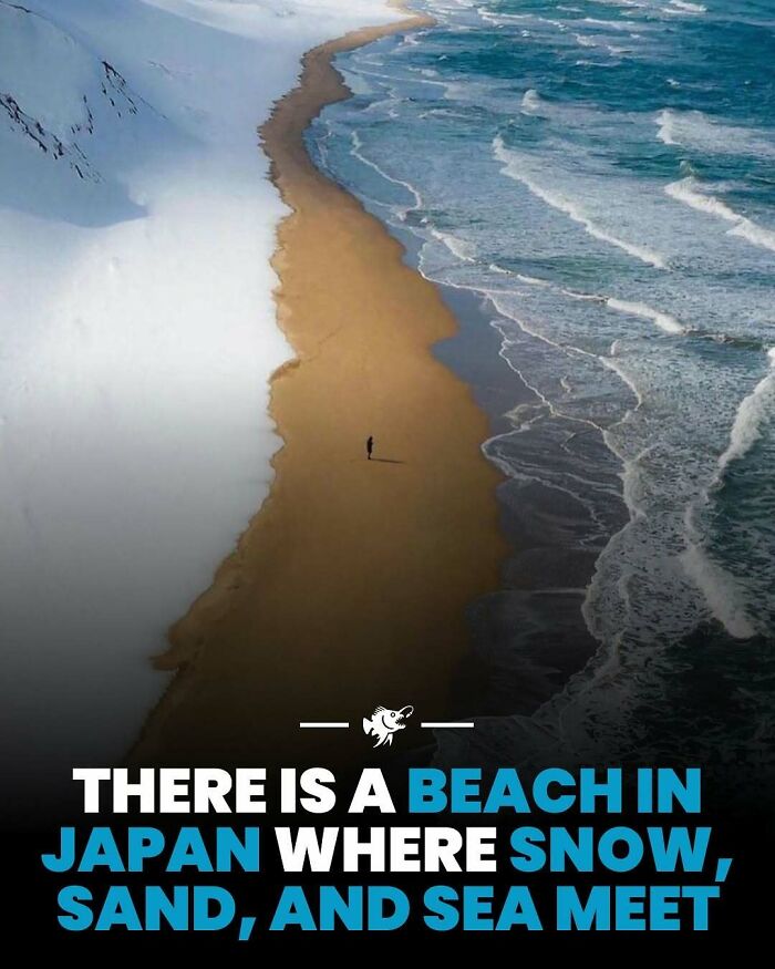 Beach in Japan where snow, sand, and sea meet, showcasing a unique deep sea coastal environment.