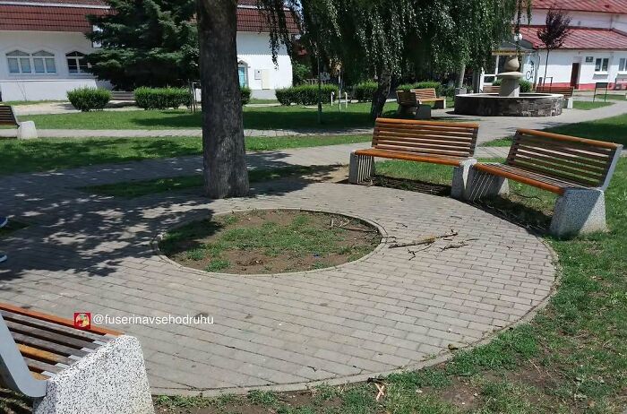 Circular brick seating area with benches placed around a tree in an unusual construction and design layout.