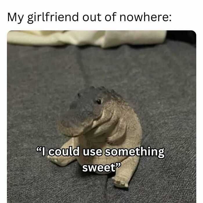 Cute alligator plush sitting on fabric with text expressing a desire for something sweet, a wholesome relationship meme.